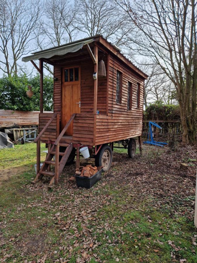 Chalet In Paradise Garden Velden 外观 照片